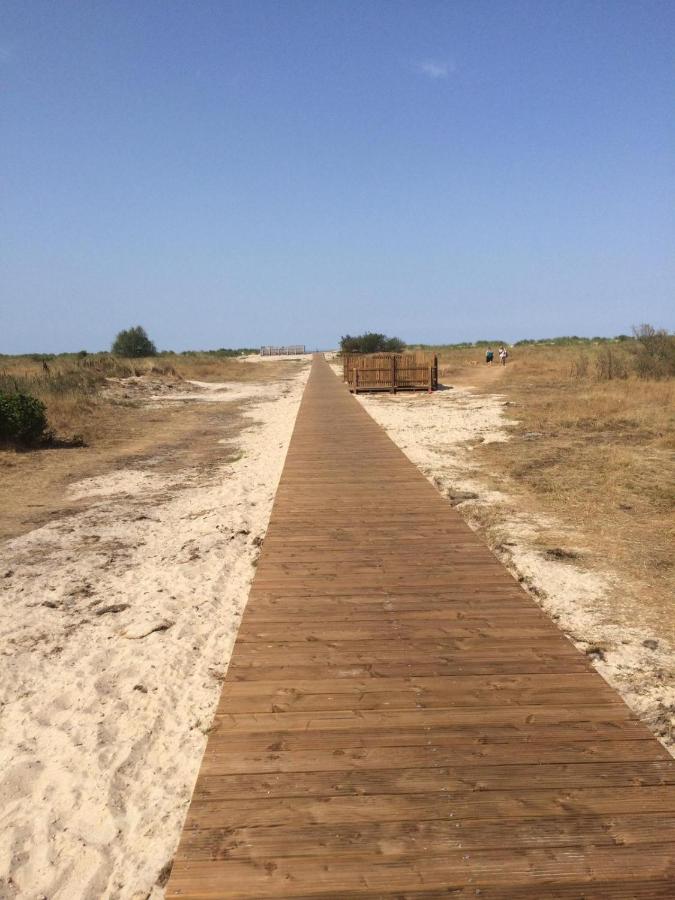 Strandhafer Schillig Eksteriør bilde